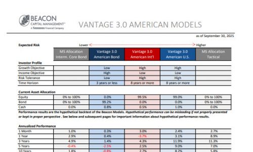 Vantage 3.0 American Fact Sheet